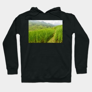 MongHoa Valley 2 Hoodie